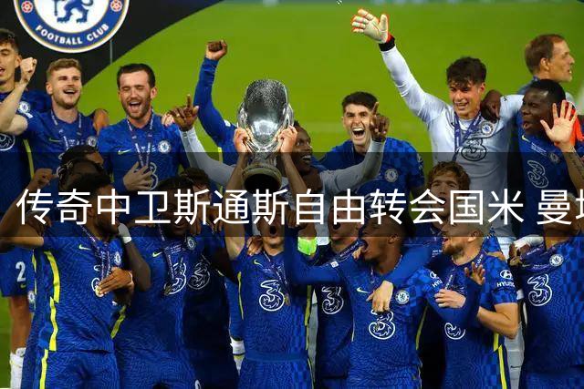 传奇中卫斯通斯自由转会国米 曼城三冠功臣转战亚平宁